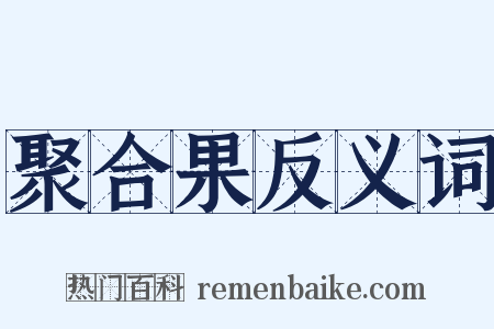聚合果反义词是什么意思的图片
